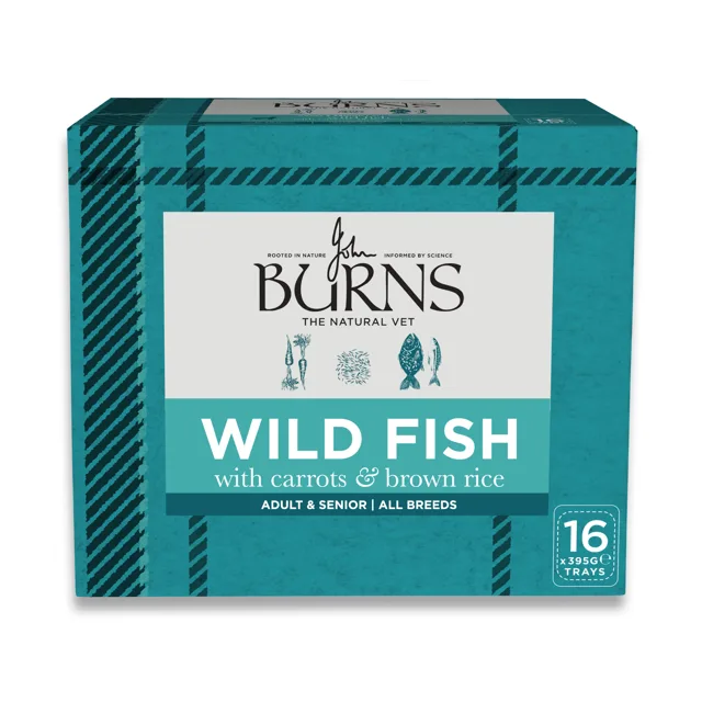 Burns vlhké krmivo pro psy 16 x 395 g - Rybí