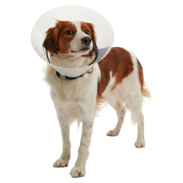 BUSTER Clic Collar plastový ochranný límec, Velikost: XL
