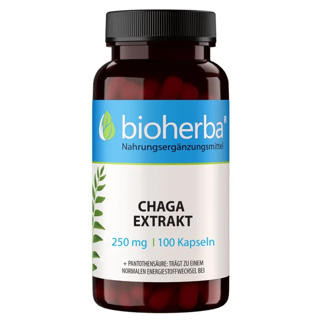 Čaga extrakt 250 mg – 100 kapslí – Bioherba