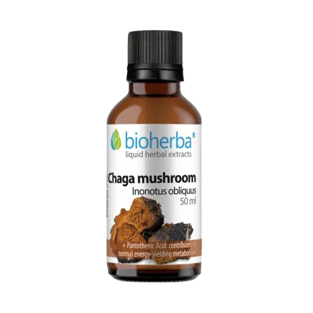 Čaga – tinktura kapky – 50 ml – Bioherba
