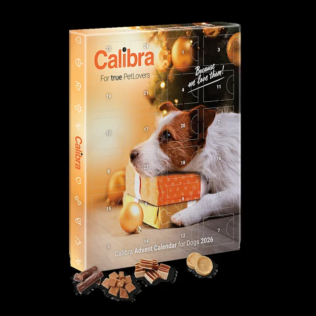 CALIBRA Dog adventní kalendář pro psy 2026