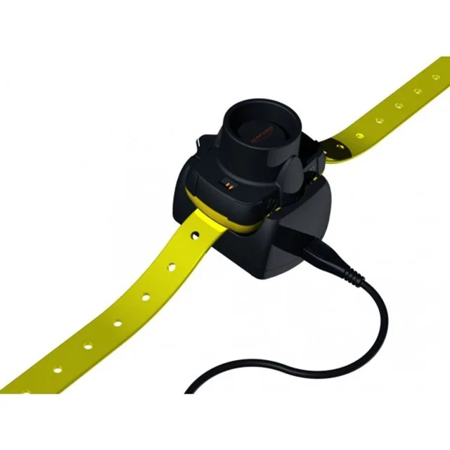Canibeeb 5 | P5498
