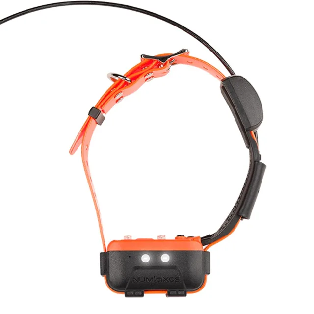 Canicom Náhradní obojek a přijímač pro Canicom GPS2 | P58288