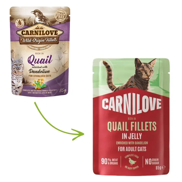 Carnilove Cat Pouch in Jelly 85g - Quail with Dandelion