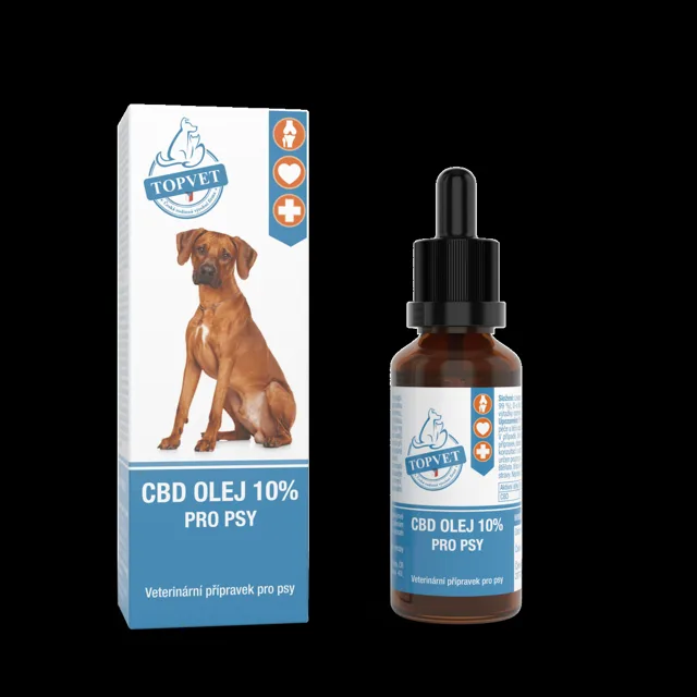 CBD olej 10 % pro psy 10 ml – Green idea