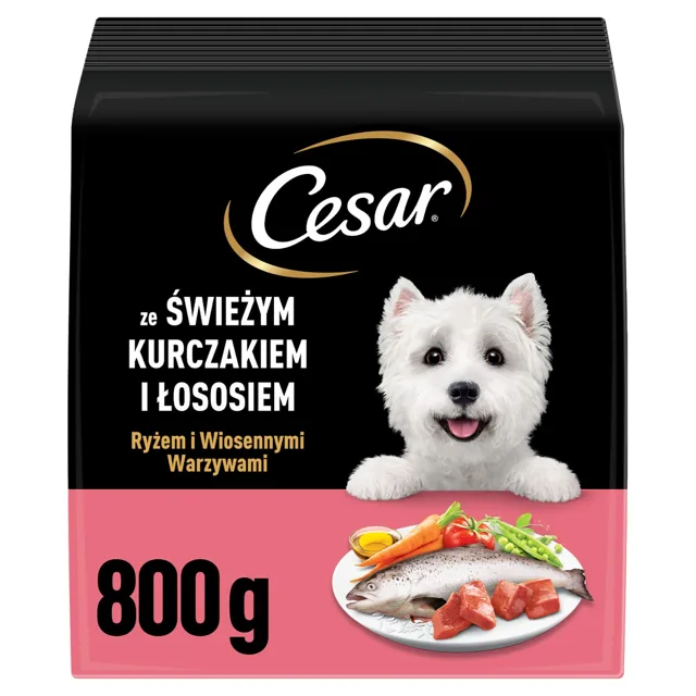 CESAR Adult s kuřecím masem a lososem 800g suché krmivo pro psy