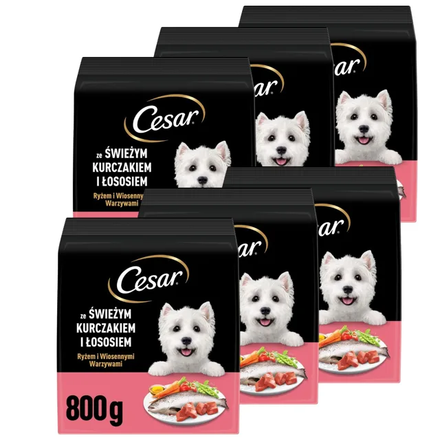 CESAR Adult s kuřetem a lososem 6x800g krmivo pro psy