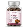 Chaga 50% extrakt 500mg cps.60
