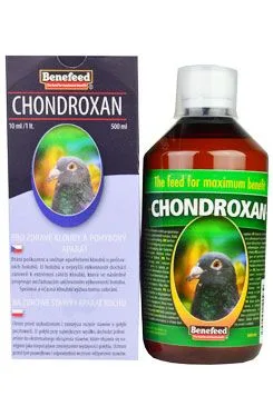 Chondroxan Pro Holuby 500ml