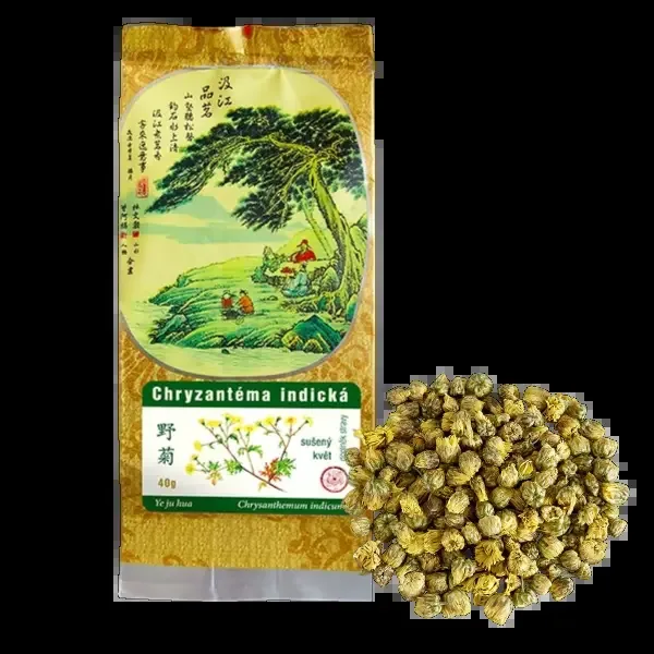 Chryzantéma indická 40g
