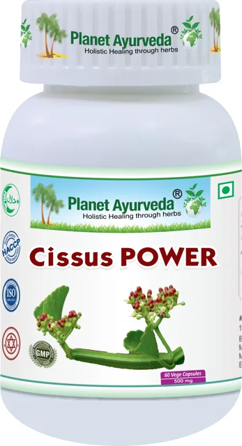 Cissus Power - 500 mg, 60 kapslí