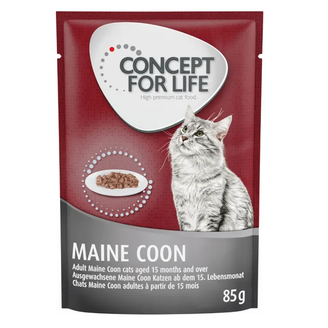 Concept for Life Maine Coon Adult (ragú) - 24 x 85 g