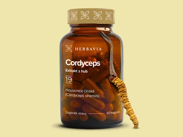 Cordyceps  bylinný extrakt - 60 kapslí