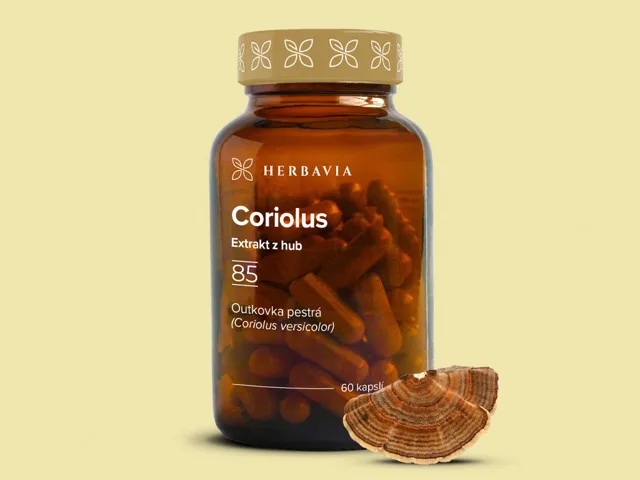 Coriolus  extrakt z hub - 60 kapslí