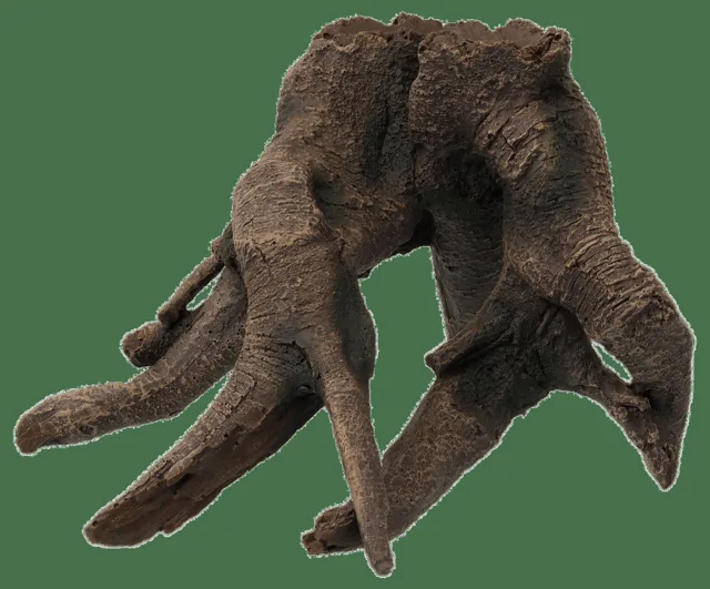 Dekorace akvarijní kořen stromu 14cm
