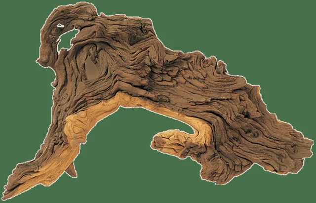Dekorace Hobby Dohse Tropical wood S