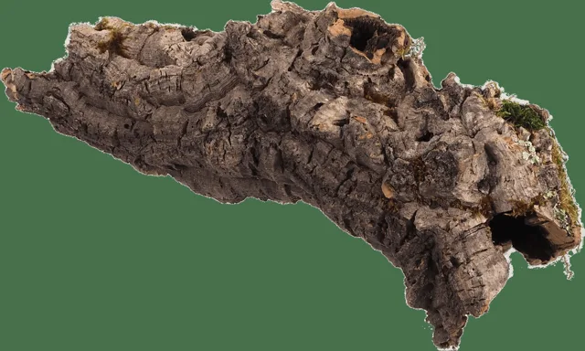 Dekorace Repti Planet Korková kůra M 15-30cm