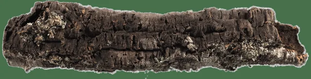 Dekorace Repti Planet Korková kůra XL 90-120cm
