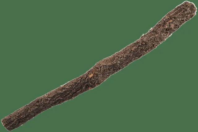 Dekorace Repti Planet Korková větev L 60-90cm