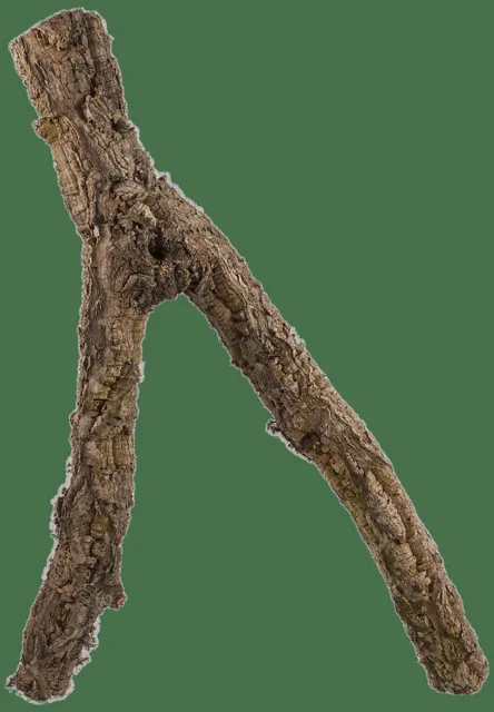 Dekorace Repti Planet Korková větev M 30-60cm