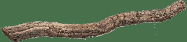 Dekorace Repti Planet Korková větev XL 90-120cm