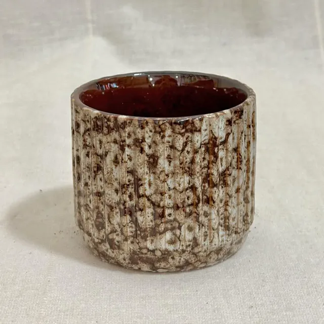 Dekorační květináč Reef Brown 6 cm