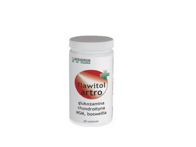 DERMAPHARM Dr Seidel Flavitol 60 tbl. artro