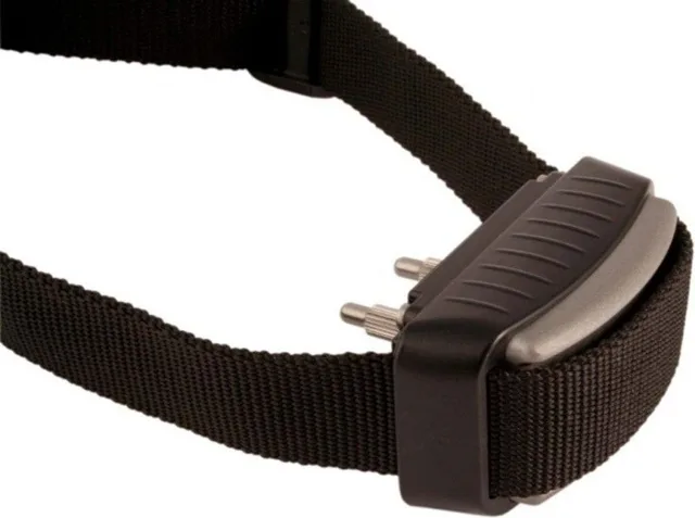 Dogtrace d-mute light | P35495
