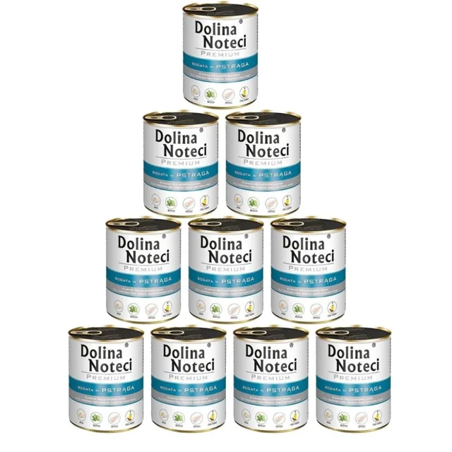 DOLINA NOTECI Premium pstruh 10x800g