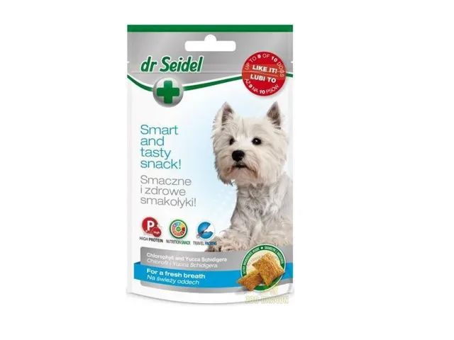DR SEIDEL Pamlsky na svěží dech 90 g