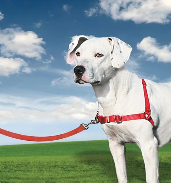 Easy Walk™ Harness - černá - S | P2111