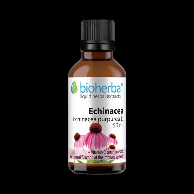 Echinacea kapky – tinktura – 50 ml – Bioherba