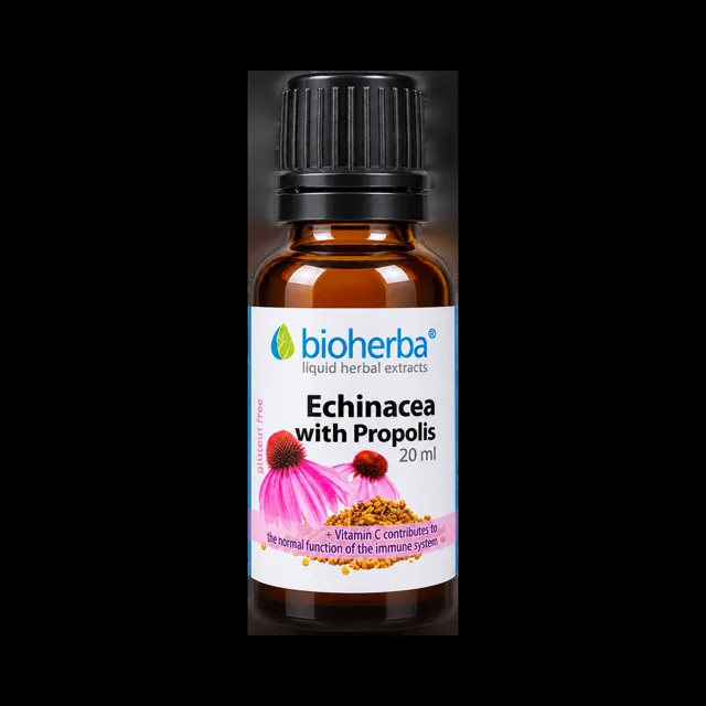 Echinacea s propolisem kapky – tinktura – 20 ml – Bioherba