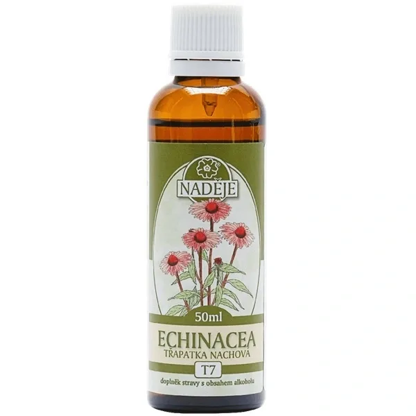 Echinacea - třapatka nachová (T7)