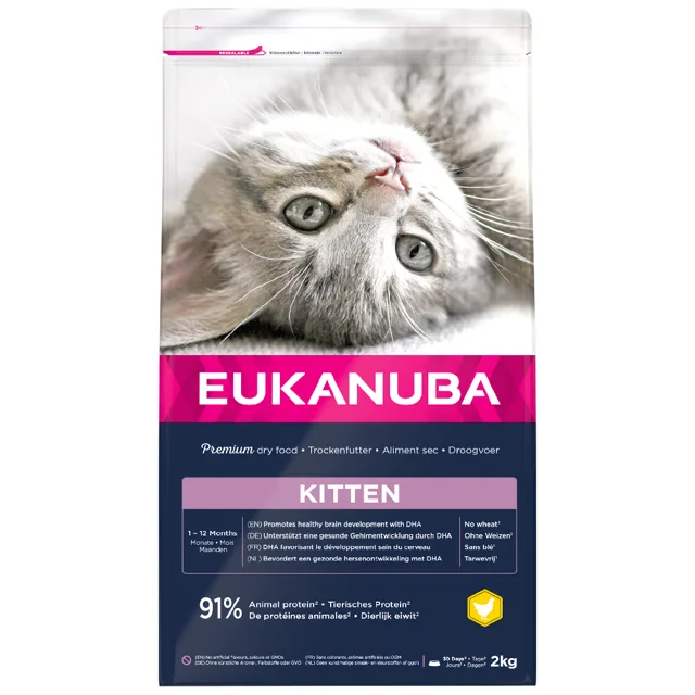 Eukanuba Healthy Start Kitten - Výhodné balení: 2 x 10 kg