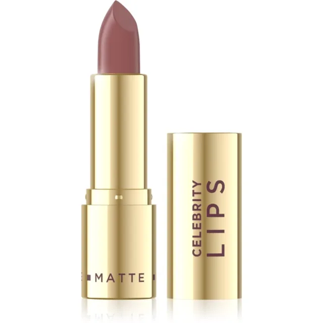 Eveline Cosmetics Celebrity Lips Matte matná rtěnka odstín 516 sienna 1 ks