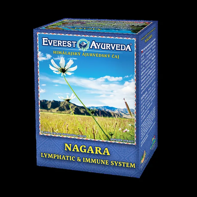 EVEREST AYURVEDA Nagara lymfatický systém a imunita sypaný čaj 100 g