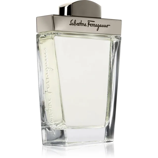 Ferragamo Pour Homme toaletní voda pro muže 100 ml