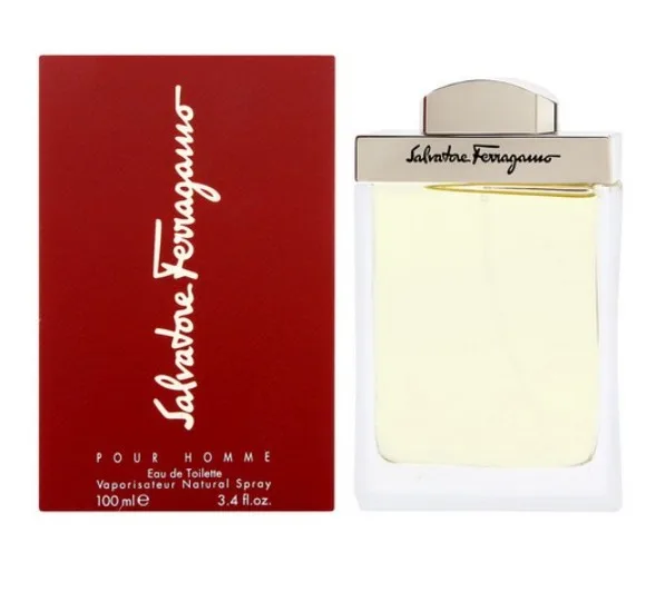 Ferragamo Pour Homme - toaletní voda s rozprašovačem 100 ml