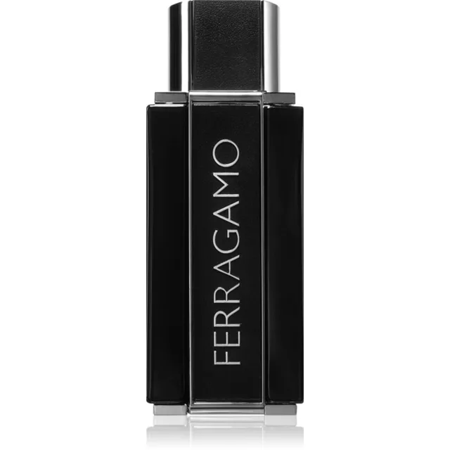 Ferragamo Sublime Leather parfémovaná voda pro muže 100 ml