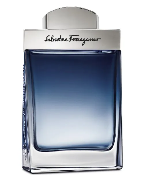 Ferragamo Subtil Pour Homme - EDT 100 ml