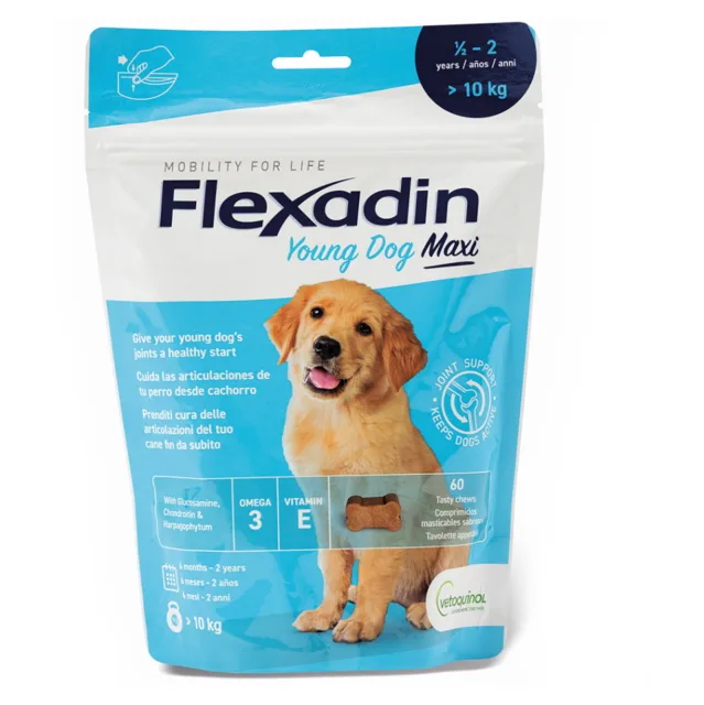 FLEXADIN Young Dog Maxi 60 žvýkacích tablet