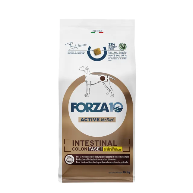 Forza 10 Intestinal Colon Phase 1 s jehněčím - 10 kg