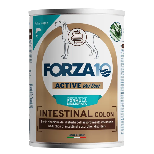 Forza10 Actiwet Intestinal Colon vlhké krmivo pro psy - 12 ks (12 x 390 g)