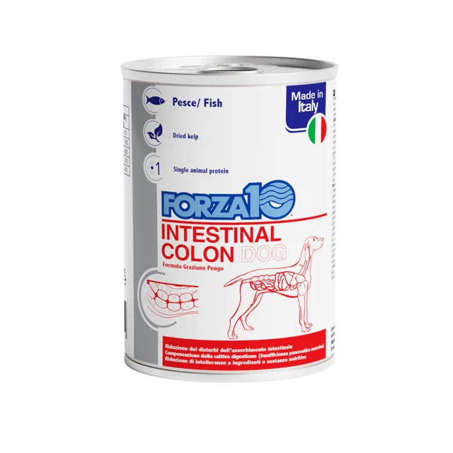 Forza10 Actiwet Intestinal Colon vlhké krmivo pro psy - 24 ks (24 x 100 g)