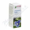 FYTOS Cholesterol kapky 50 ml