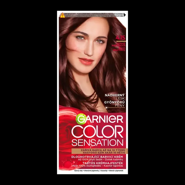 Garnier Barva na vlasy Color Sensation 4.15 ledově kaštanová