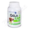 Gelacan Fast 150g