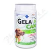 Gelacan Fast 500g
