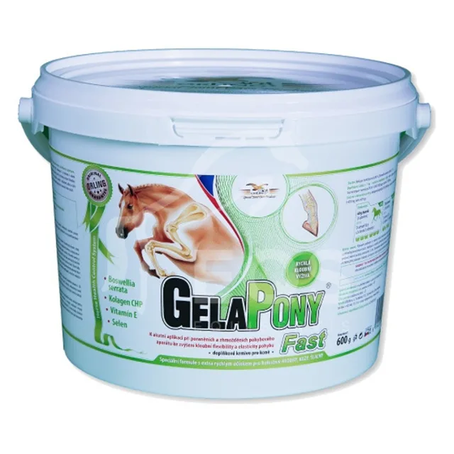 GELAPONY Fast 600 g a.u.v.